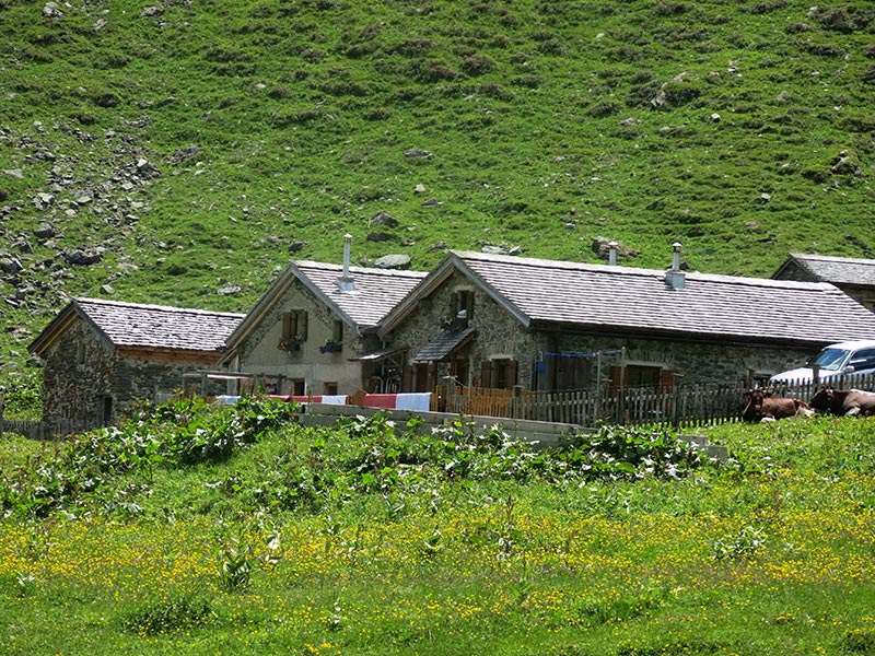 Strichwandkogel